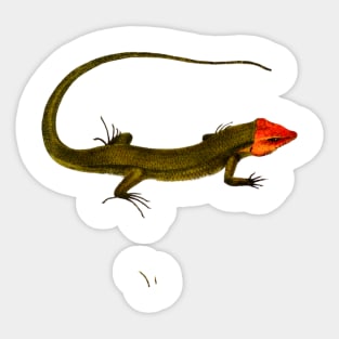 lizard Sticker